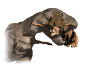 t-rex morde umano.gif